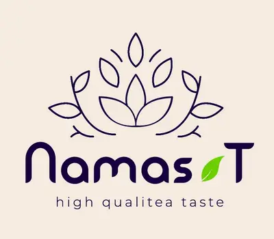 logo Namas-t